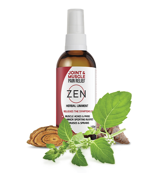 Martin & Pleasance Zen Joint & Muscle Relief My Natural Health