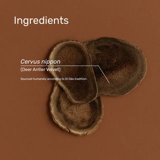 SuperFeast | Deer Antler