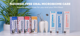 MooGoo | Sensitive Moothpaste Fluoride Free